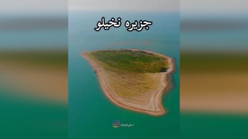 جزیره نخیلو بوشهر؛ بهشت پرندگان در کل خاورمیانه را بشناسید