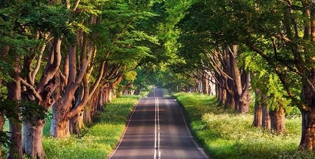 Asalem to Khalkhal Road - Drive in the Most Beautiful Route of Iran