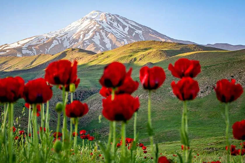 سفر به مازندران