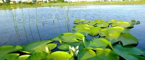 مکان های گردشگری و جاذبه های توریستی و تفریحی جویبار
