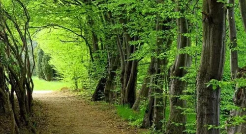 پارک جنگلی سی سنگان | بهشت نوشهر