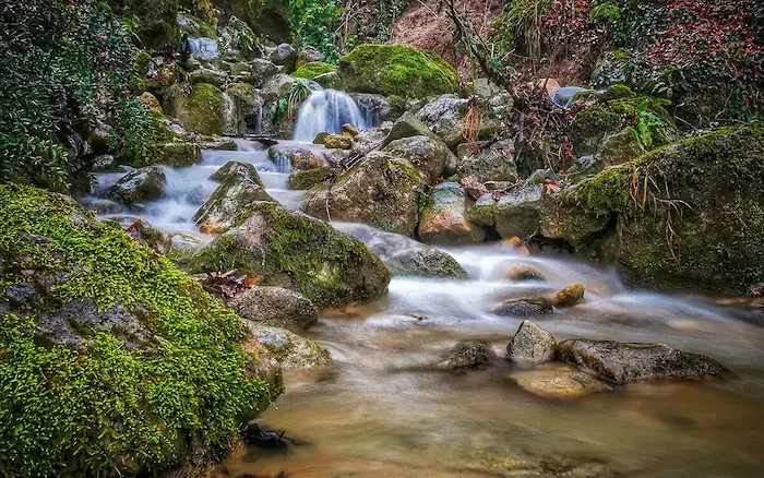 Comprehensive Guide to Access Routes and Attractions of Toska Spring Forest Park