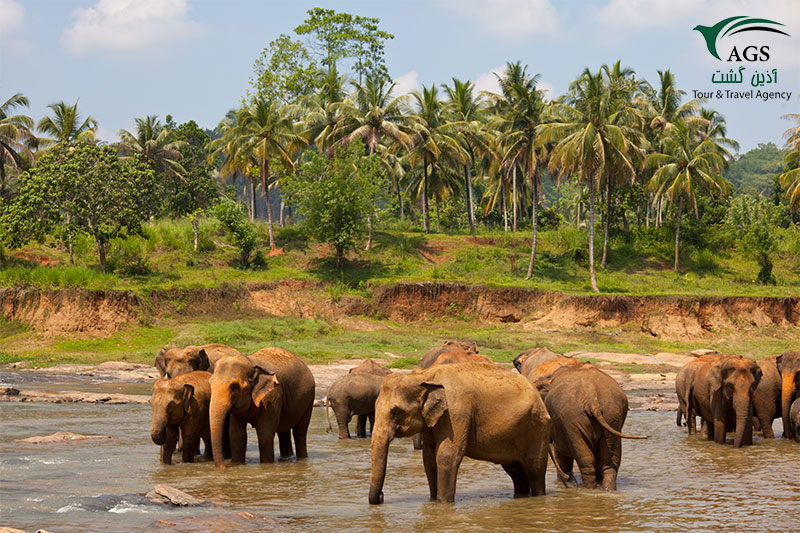 Madu Ganga Bentota River in Sri Lanka: Everything You Need to Know ...