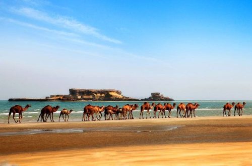 تور قشم از تبریز هوایی