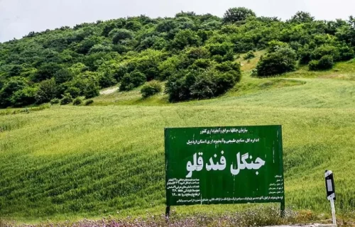 جنگل فندقلو اردبیل | مسیر دسترسی + جاهای دیدنی