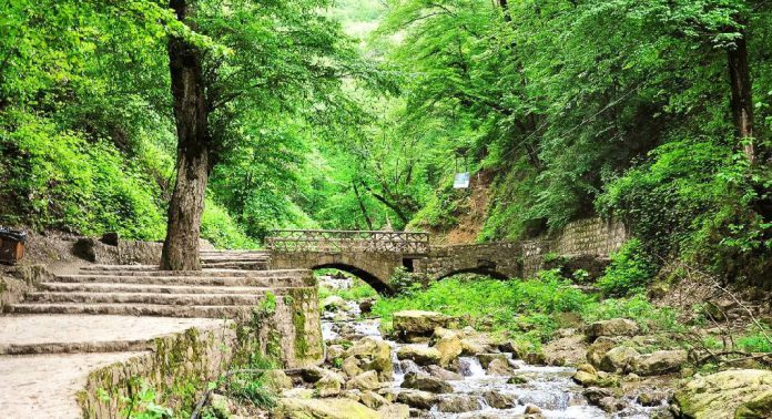 سفر به گرگان | از جنگل‌های هیرکانی تا ساحل خزر
