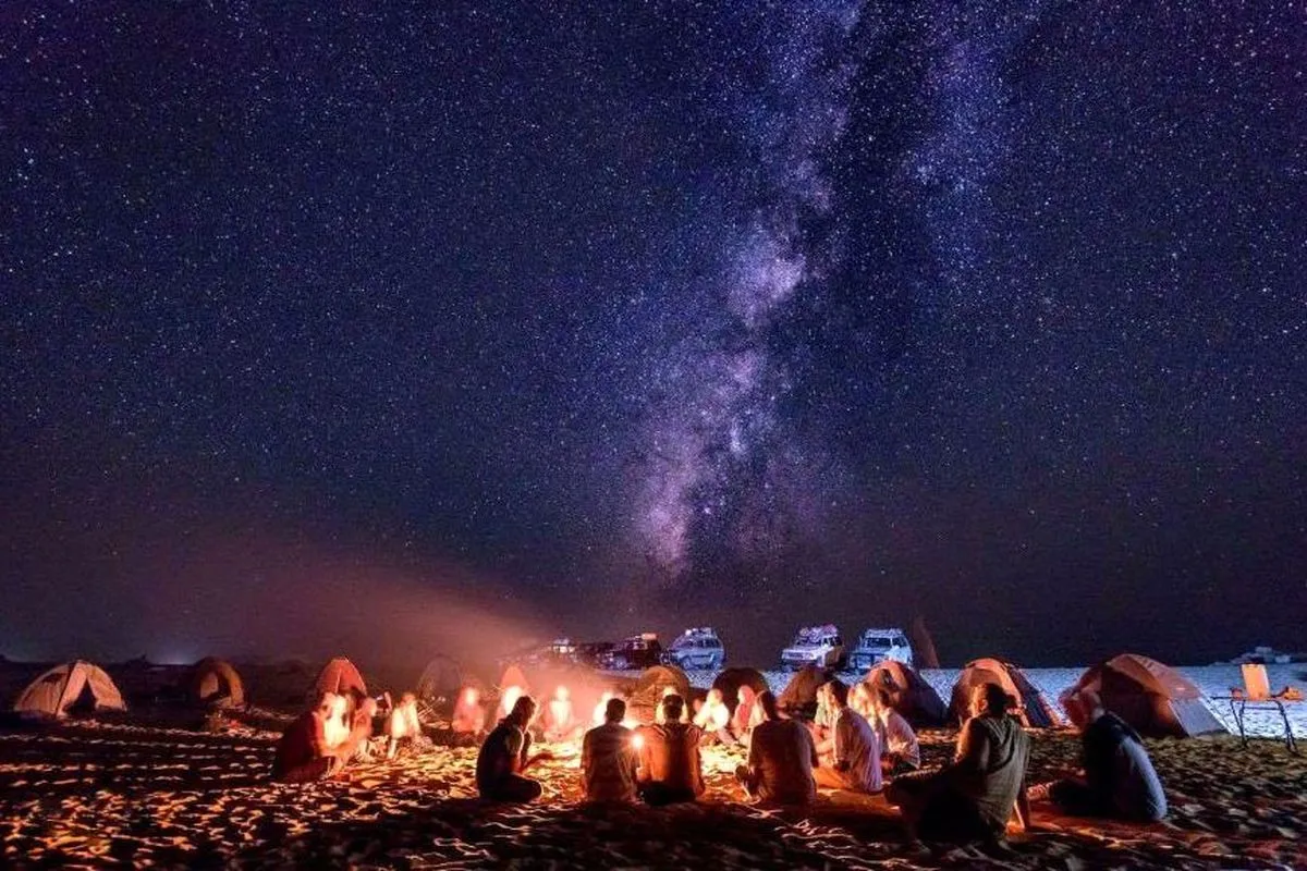 سفر به بندر