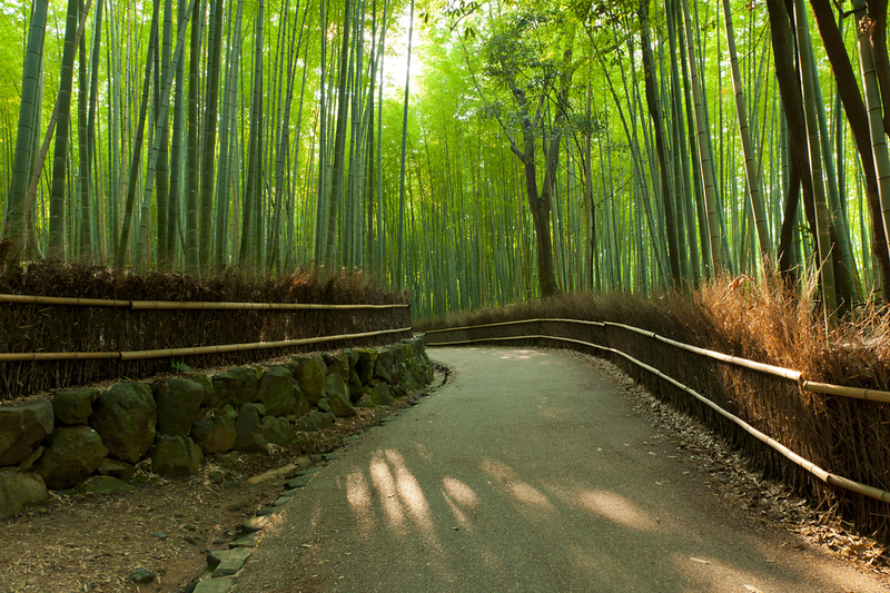 Ancient Kyoto Bamboo Grove-Kyoto-Japan
