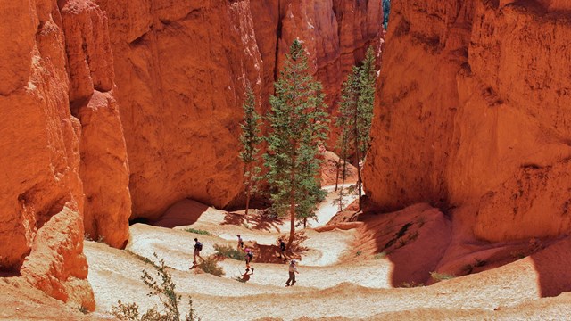 Bryce National Park Trails