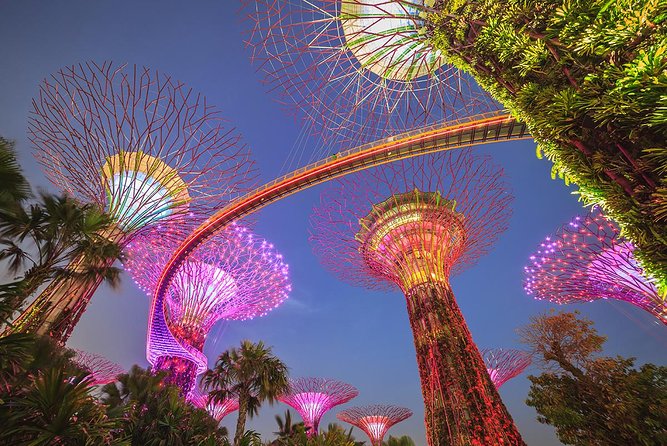Singapore Gardens by the Bay-Marina Bay-Singapore