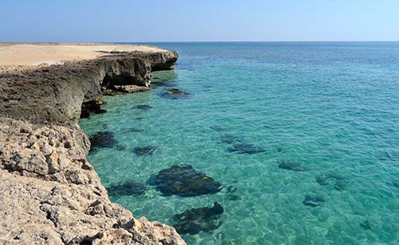 آژانس مسافرتی