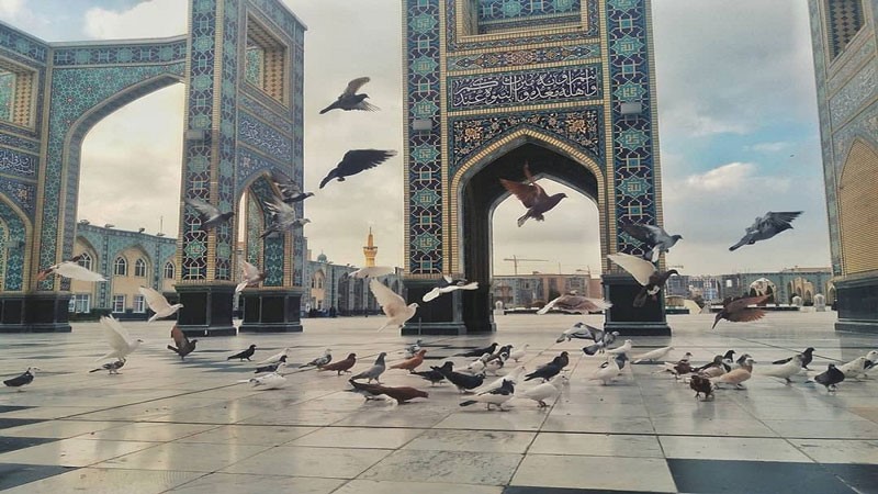 تور هوایی مشهد