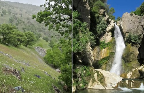 تاریخ و طبیعت