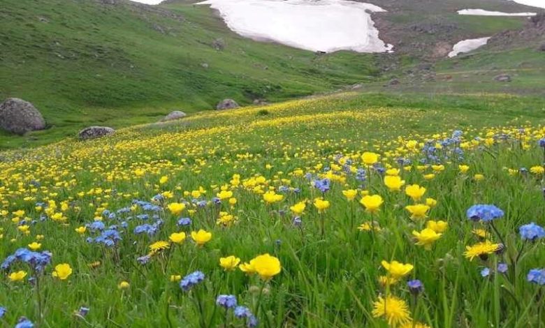 سوباتان تالش: اکتشاف شگفتی‌های پنهان در دل کوه‌های سبز گیلان
