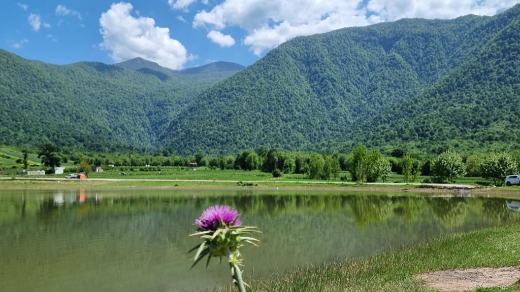 گردشگری شفیع آباد
