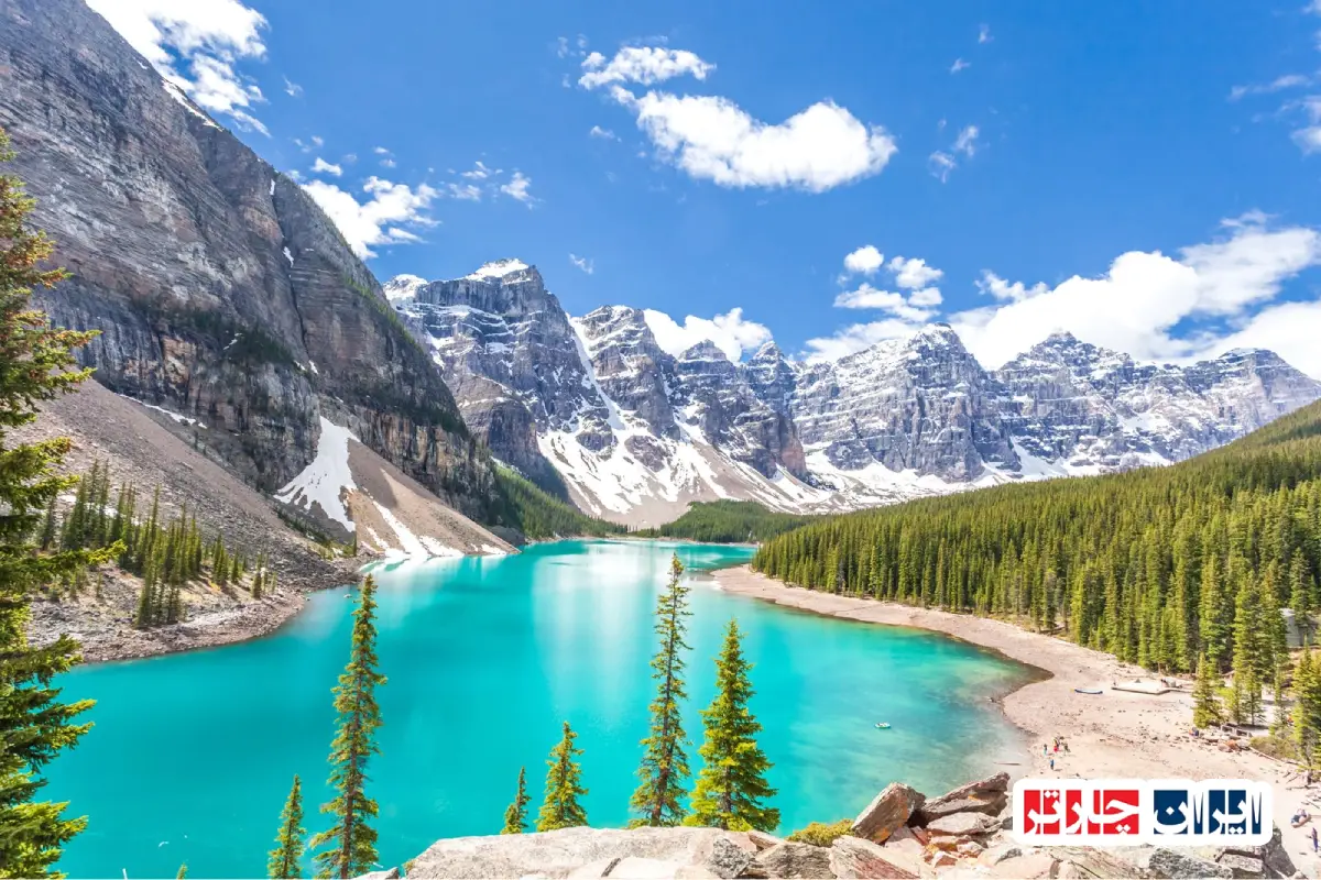 اکتشاف دنیای بدن - تجربه متفاوت در هیومن پارک تهران