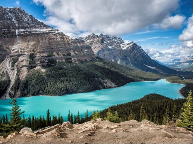 Banff Peyto Lake-Alberta-Canada