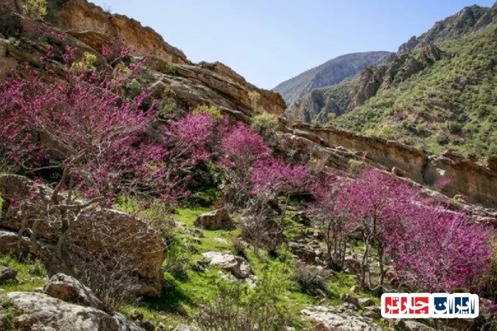 کشف رمز و راز عروس زاگرس با ایران چارتر