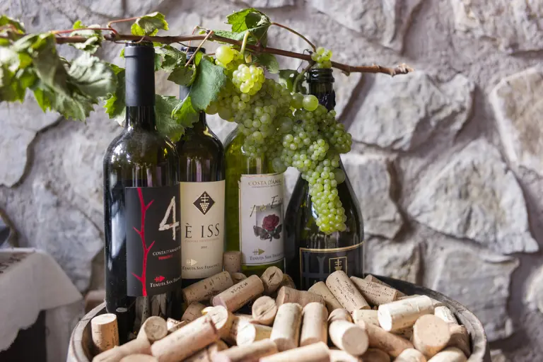 Amalfi Coast Wine Tasting-Amalfi Coast-Italy