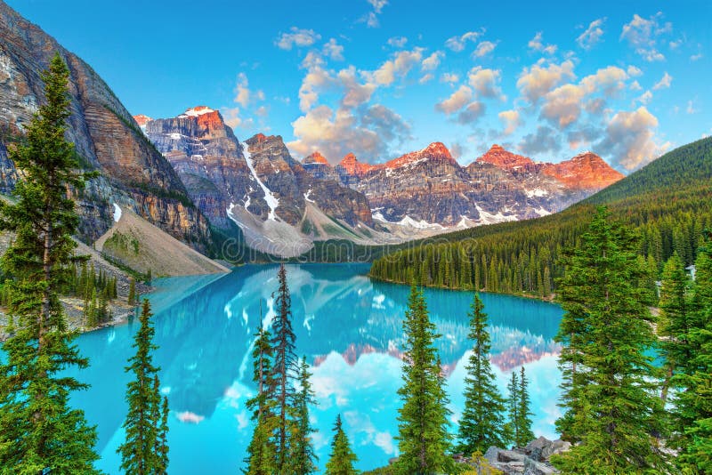 Banff Lake Louise Vibrant Meadows