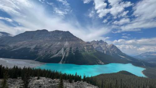Banff Peyto Lake Lookouts