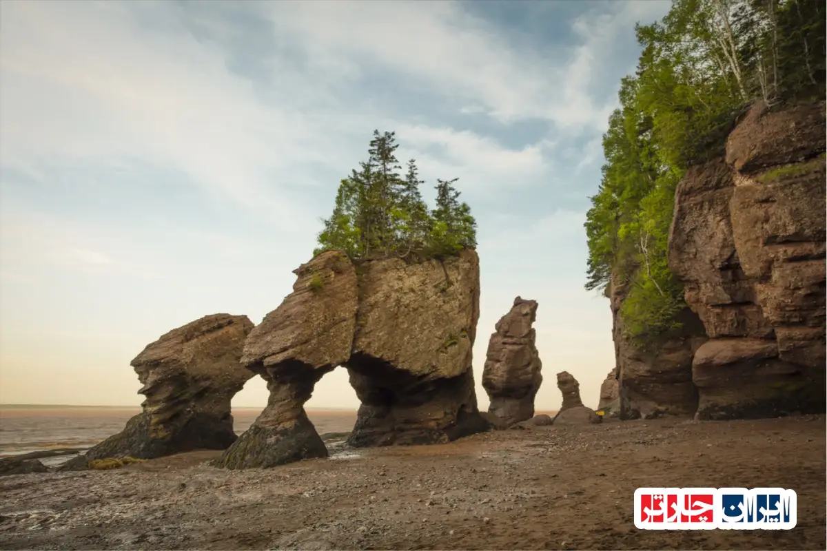 Bay of Fundy