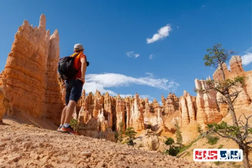 سفری فراموش‌نشدنی به Bryce Canyon Scenic Lookouts در دل طبیعت اوتاه