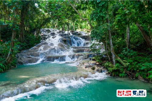 Dunn's River Falls