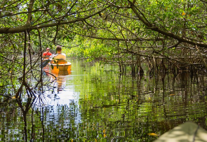 Everglades National Park-Florida-United States