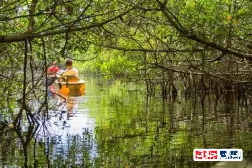 Everglades National Park Florida: Discover the Unique Ecosystem and Natural Beauty