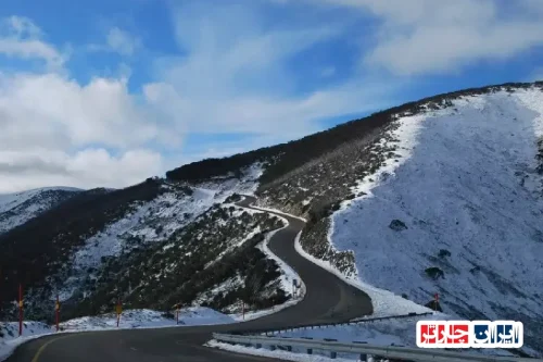 Great Alpine Road Victoria: Scenic Drive Through Australia's Mountain Paradise