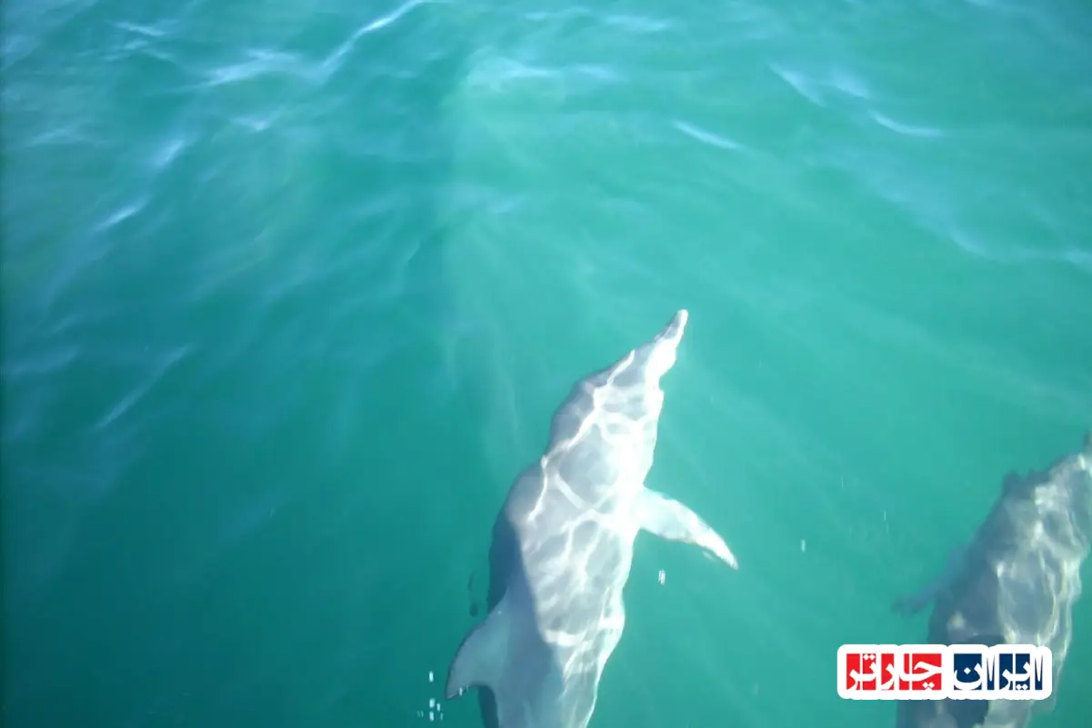Jervis Bay Marine Park
