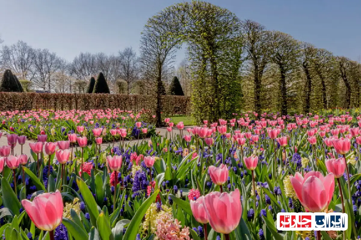 Keukenhof Gardens