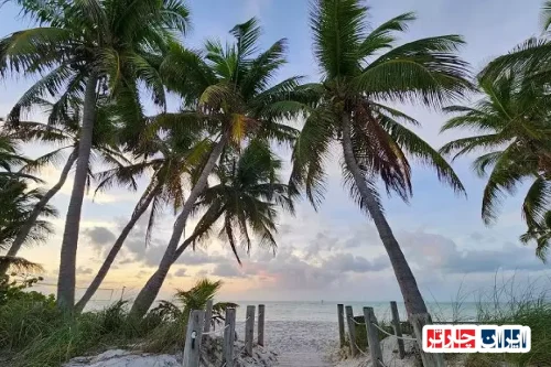 Key West Florida: Discover the Ultimate Island Paradise