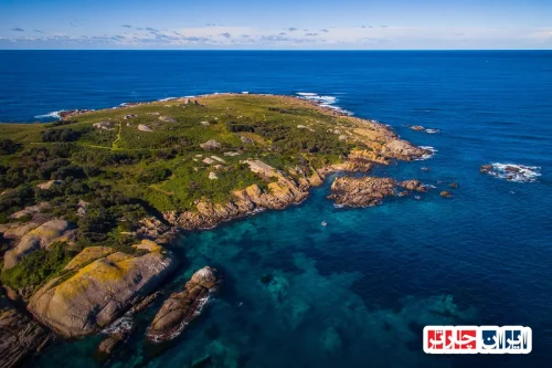 Montague Island