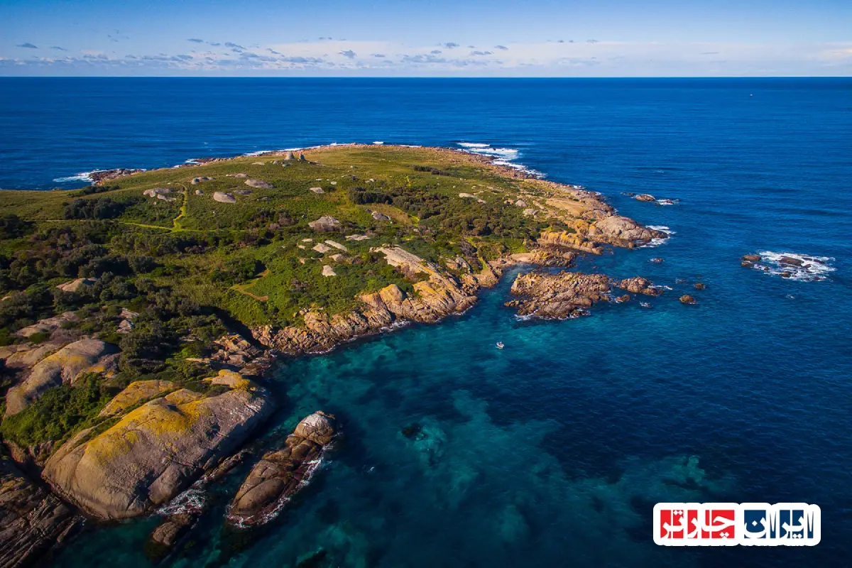 Montague Island