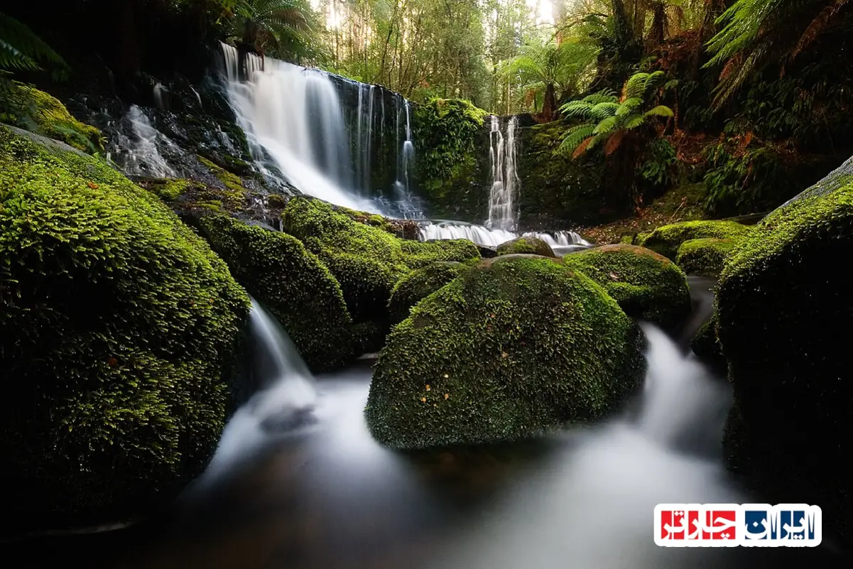 Mount Field National Park