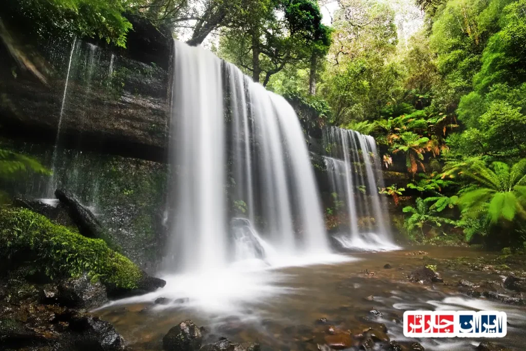 Lamington National Park