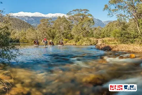 Mount Kosciuszko: Australia's Highest Peak in New South Wales