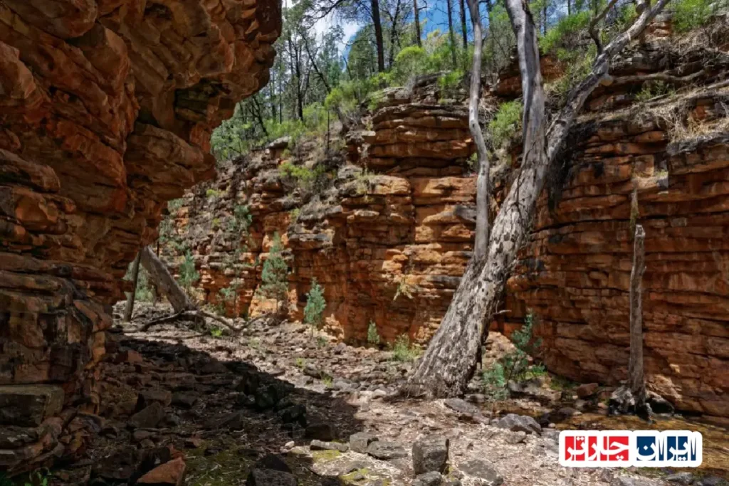 Mount Remarkable National Park
