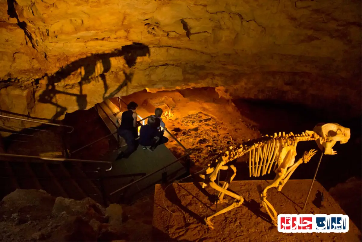 Naracoorte Caves
