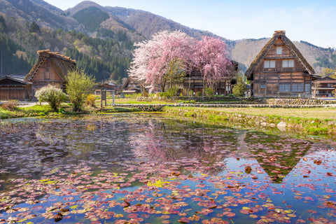 Shirakawa-go Historic Villages-Gifu Prefecture-Japan