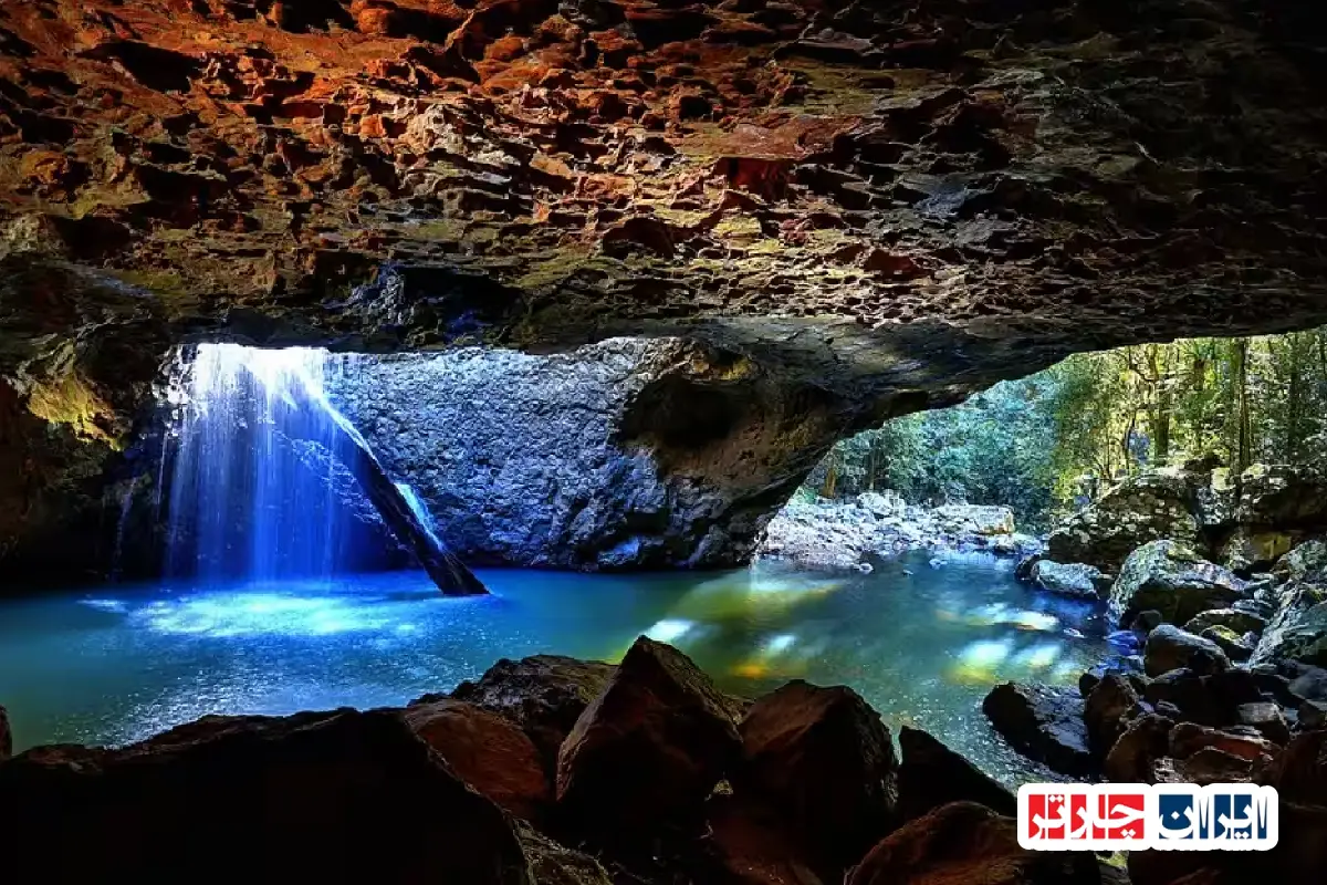 Springbrook National Park