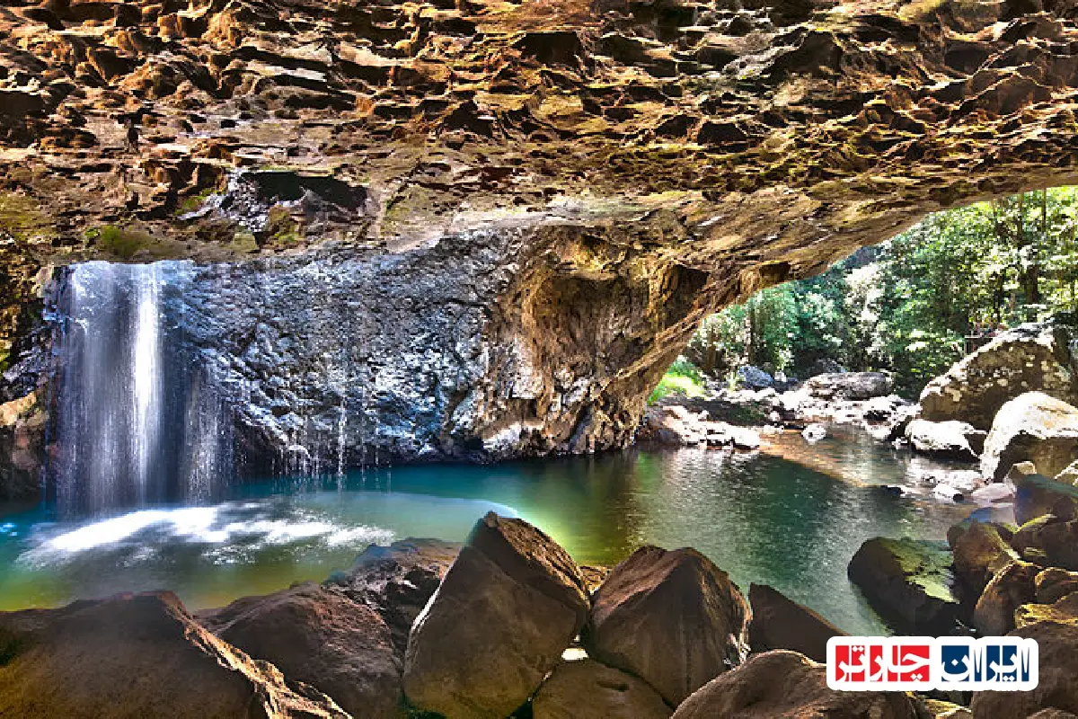 Springbrook National Park
