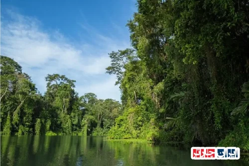 Tortuguero National Park