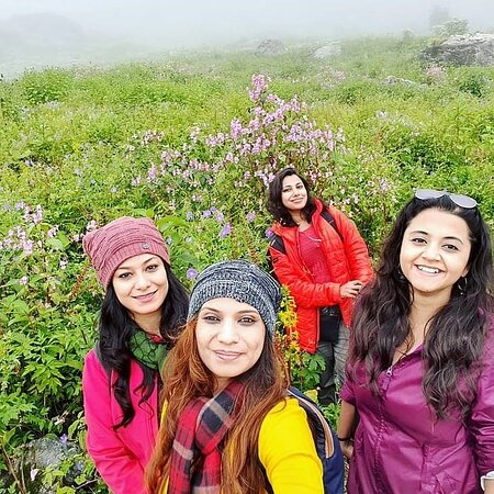 Valley of Flowers National Park Uttarakhand: Explore the Stunning Himalayan Paradise