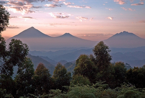 Virunga Mountains: Explore the Heart of Africa's Iconic Wilderness
