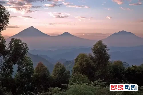 Virunga Mountains: Explore the Heart of Africa's Iconic Wilderness