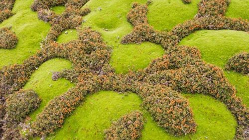 Walls of Jerusalem National Park Tasmania: Ultimate Guide to Tasmania's Iconic Wilderness