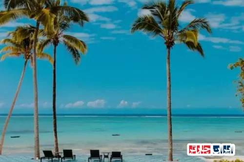 Zanzibar Beaches: Discover the Pristine Shores of Zanzibar